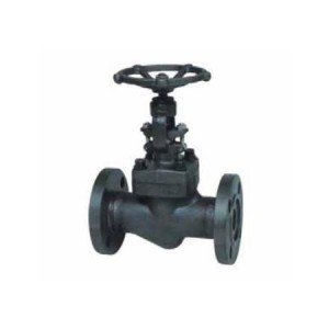 Short Lead Time for Reduced Bore Globe Valve - Flanged Forged Steel Globe Valve – BVMC