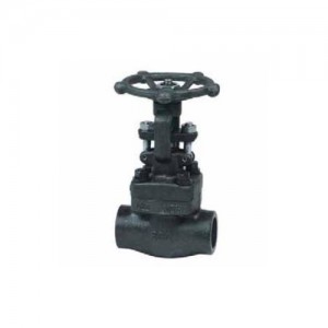 Factory Supply Soft Seal Gate Valve - Threaded/Welded Forged Steel Gate Valve – BVMC